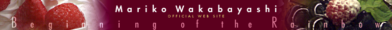 ���ӥޥ�� Web Site